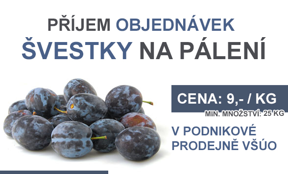 Švestky na pálení